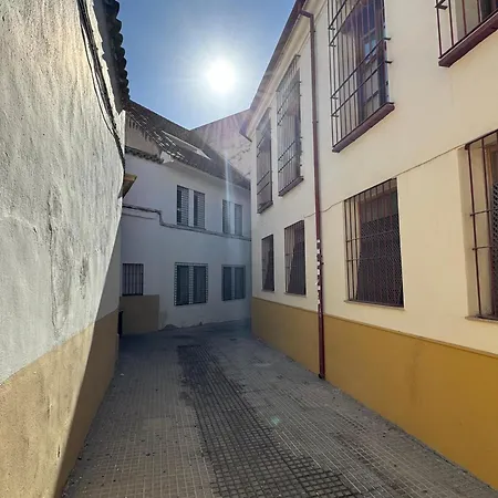 Apartment Patio De La Calleja